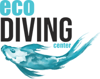 Eco Diving Center logo